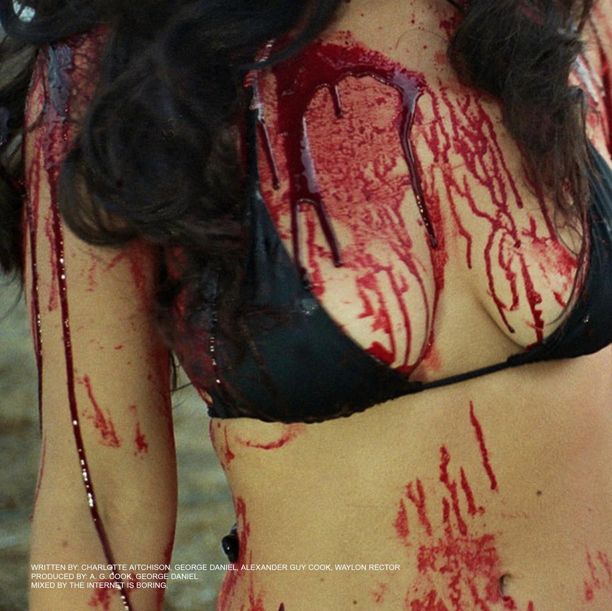 Charli xcx Crash cover 7